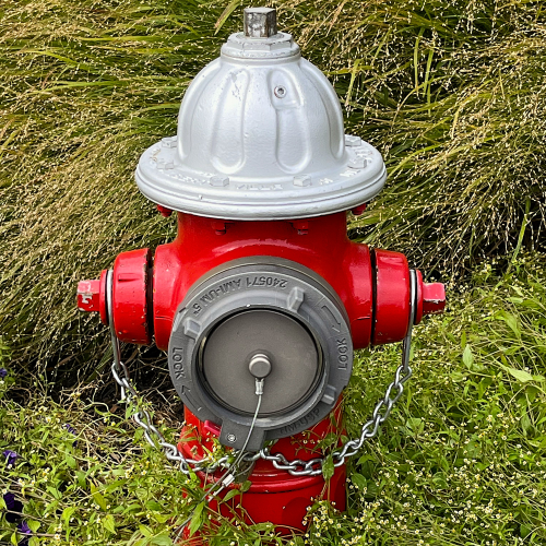Red fire hydrant amongst grass representing assurance and safety